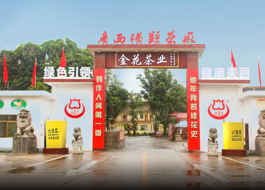 廣西金花茶業有限公司